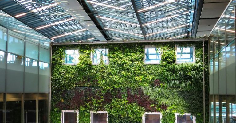 Green Roof - Photograph of plants growing on a wall