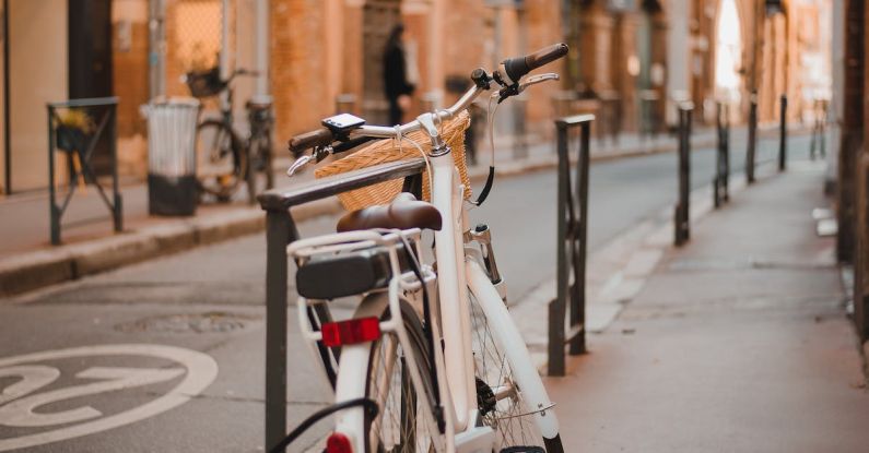 Urban Biodiversity - A bicycle parked on the side of a street