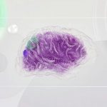 AI Recruitment - An artist’s illustration of artificial intelligence (AI). This image represents how machine learning is inspired by neuroscience and the human brain. It was created by Novoto Studio as par...