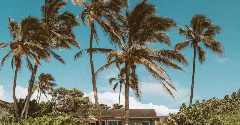 Green Living - Palm Trees on Beach