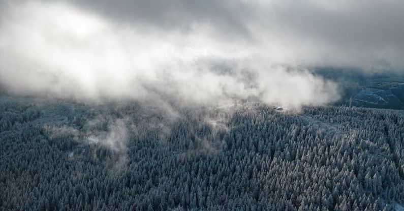 Venus Clouds - Aerial view of a snowy forest with clouds