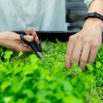 Vertical Farm - person holding black pen and white textile