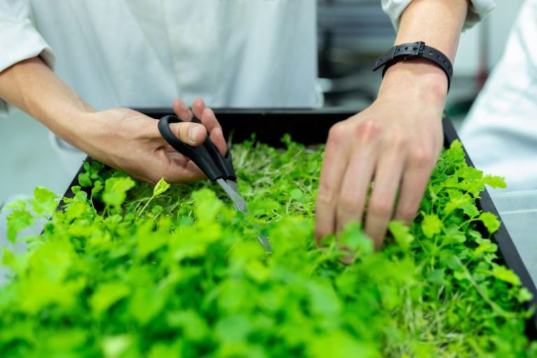 Vertical Farm - person holding black pen and white textile