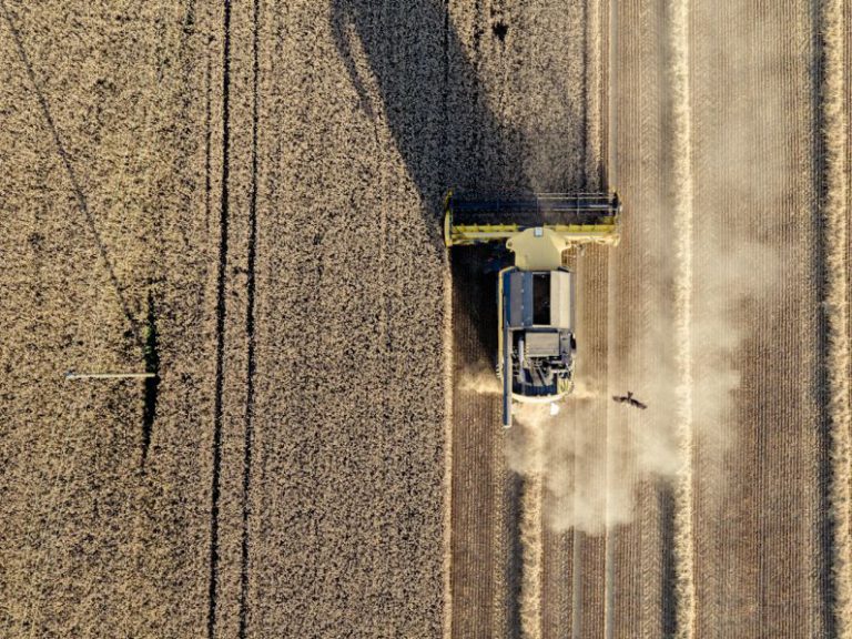 Agricultural Drone - aerial shot of crop field